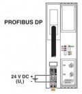 Cabecera para bus Profibus DP de PHOENIX CONTACT. Cabecera de bus de la serie AXIOLINE de PHOENIX CONTACT