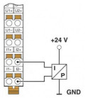Módulo, periferia, serie AXIOLINE, PHOENIX CONTACT