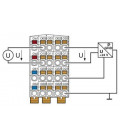 Módulo, periferia, serie AXIOLINE, PHOENIX CONTACT